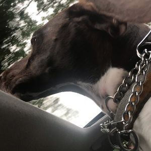 Meet your Posher, Sherry